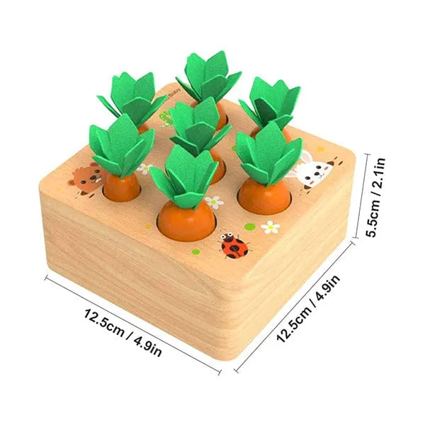 Carrots Harvest Educational Toy