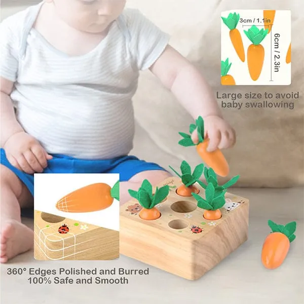 Carrots Harvest Educational Toy