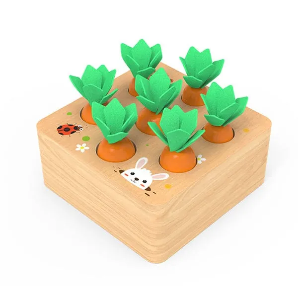 Carrots Harvest Educational Toy