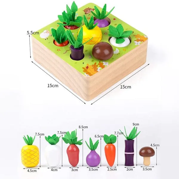 Carrots Harvest Educational Toy