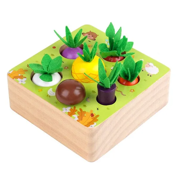 Carrots Harvest Educational Toy